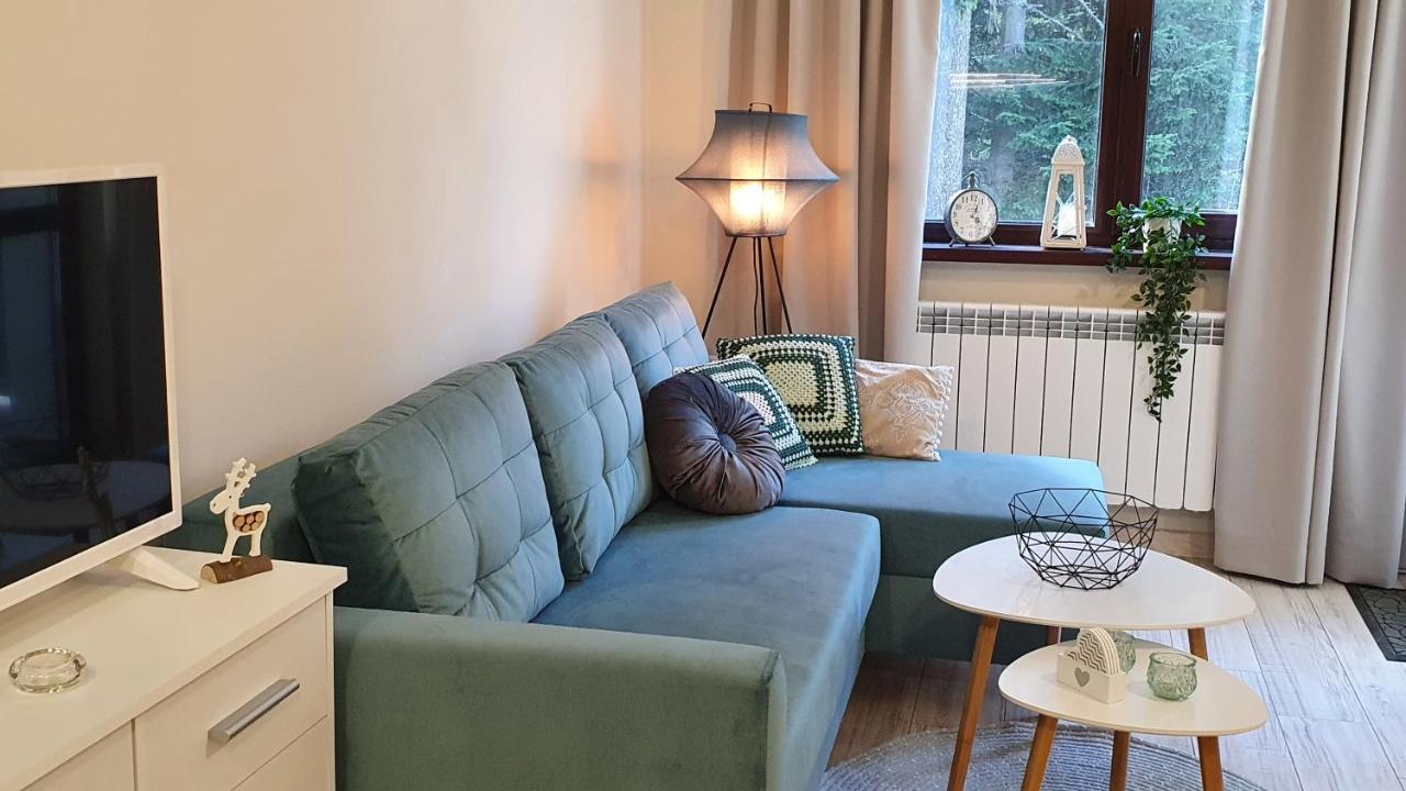 Borovets Holiday Homes Zewnętrze zdjęcie