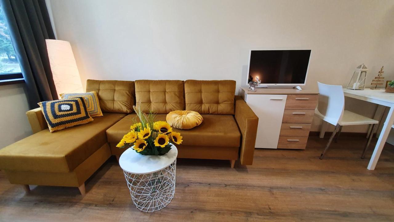 Borovets Holiday Homes Zewnętrze zdjęcie