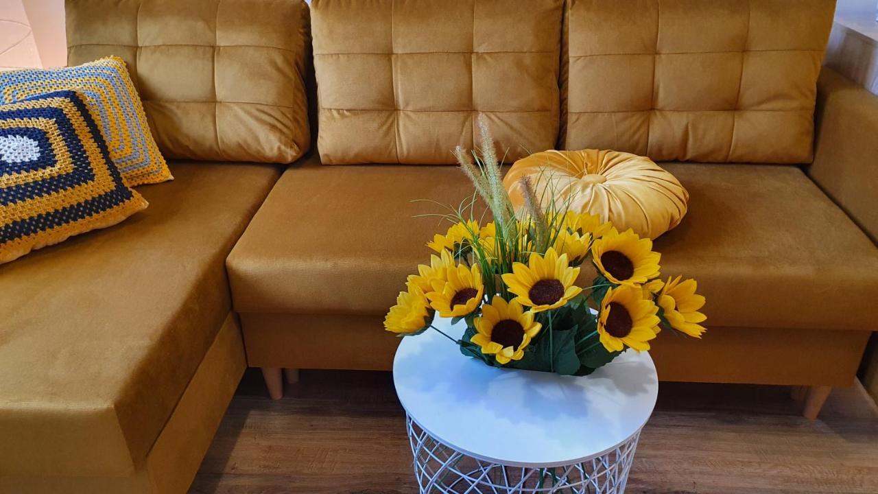 Borovets Holiday Homes Zewnętrze zdjęcie